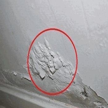 1606617487496517.gif 墻面3.gif