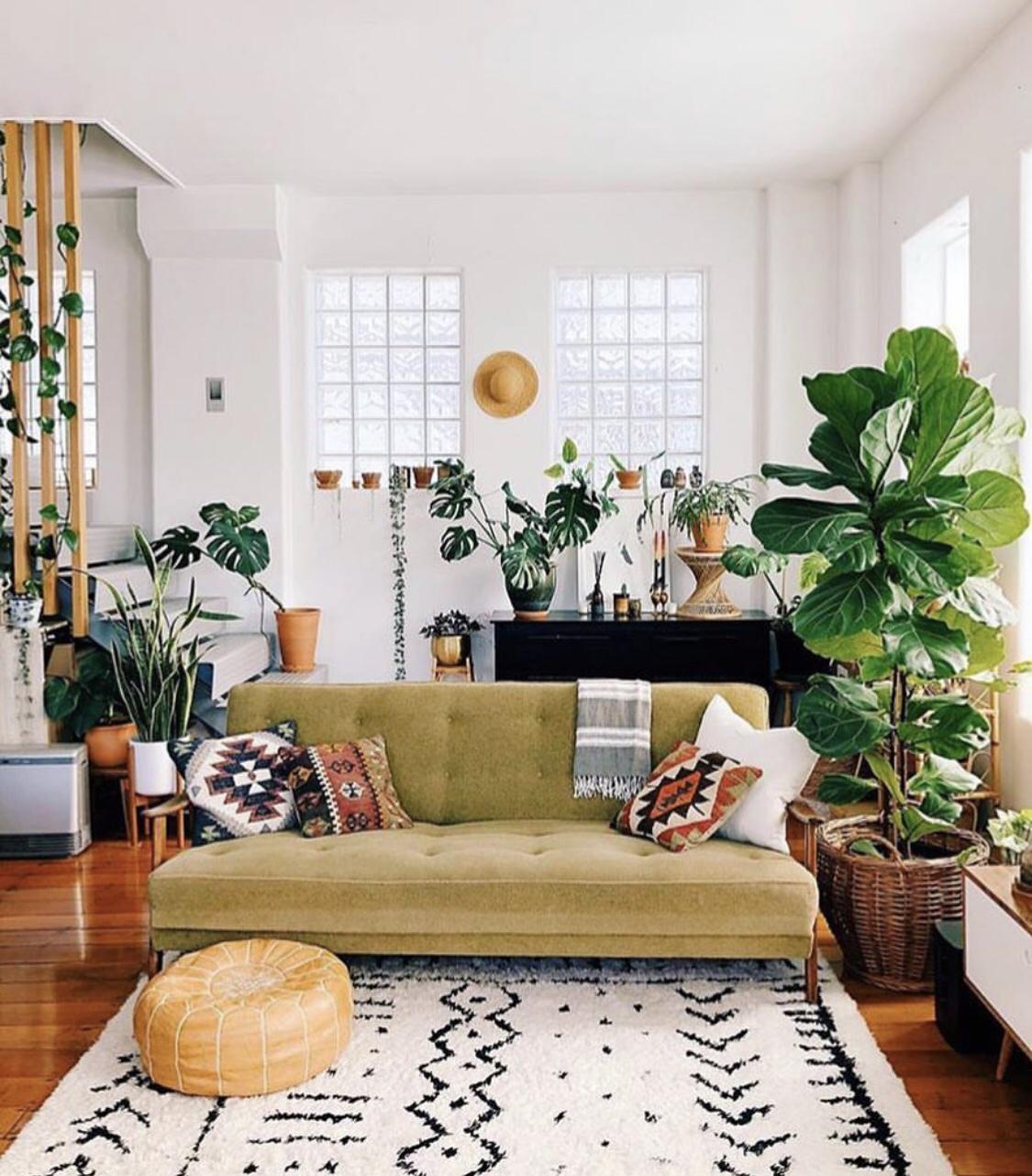 1608866932753099.jpg 琴葉榕1.jpg