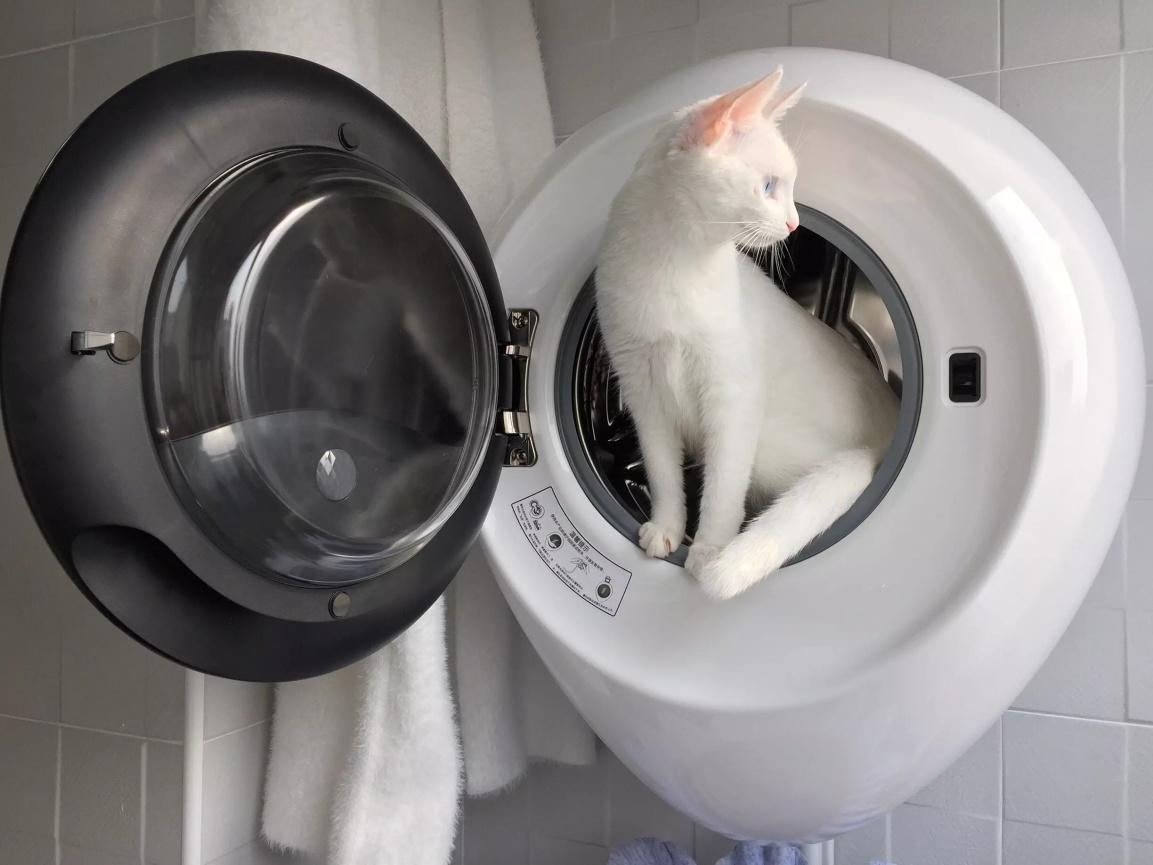 1609296717382520.jpg 壁掛式洗衣機(jī)2.jpg