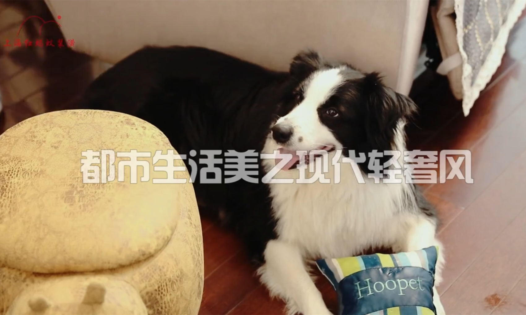 家裝指南：冬季裝修知識全掃描！