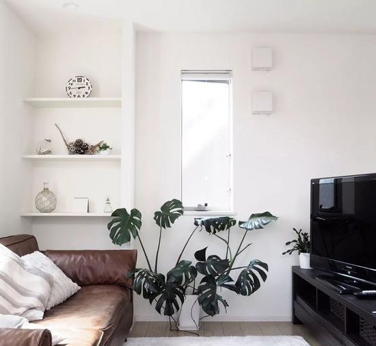 別再OUT了！鹽系和甜系的區別你搞懂了嗎？