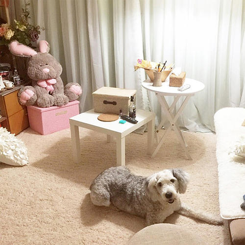 打造一個(gè)溫暖的家  冬日宅家必備溫馨軟裝